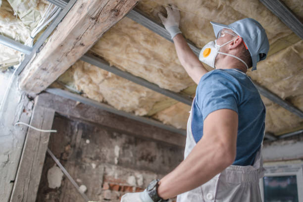 Best Spray Foam Insulation  in Clay, KY