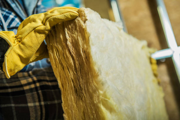 Best Local Insulation Services  in Clay, KY