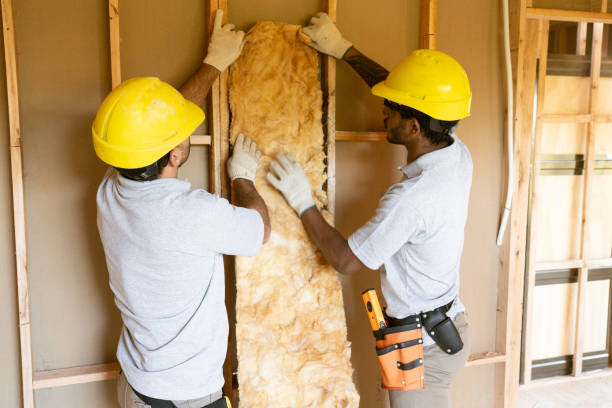 Best Insulation Inspection Services  in Clay, KY
