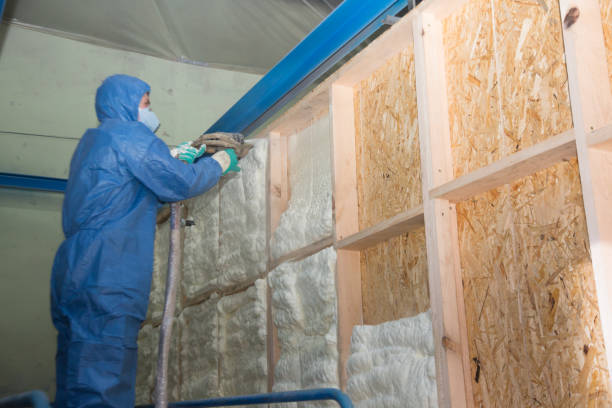 Best Insulation Replacement Services  in Clay, KY