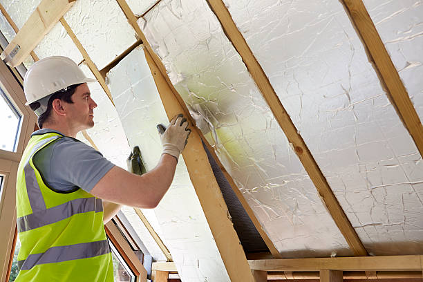 Best Insulation Contractors for Homes  in Clay, KY